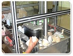 Screen Printing Services