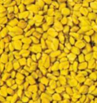 Fenugreek Seeds
