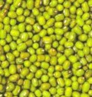 Green Mung Lentil