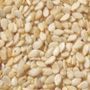 Sesame Seed