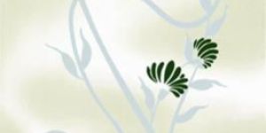 Ceramic Wall Tiles-1025