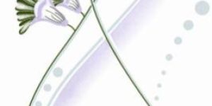 Ceramic Wall Tiles-1035