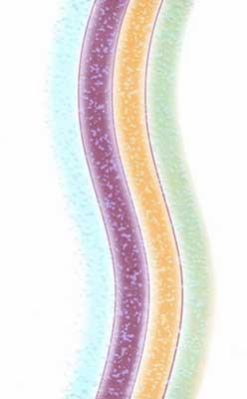 Wall Tiles Design No-1194