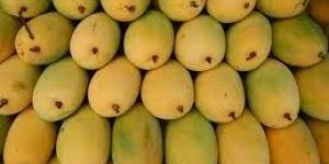 Mangoes
