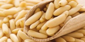 Pine Nuts