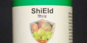 Shield