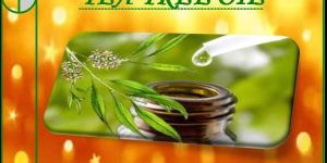 Pure Tea Tree Oil