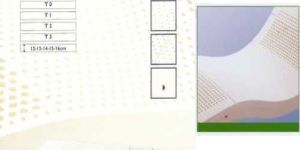 5 Zone Latex Foam Mattress