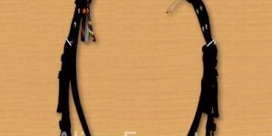 NYLON HEADSTALL