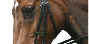 Raised Snaffle Bridle