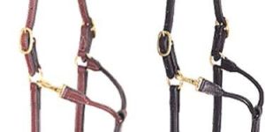 Track Halters