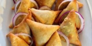 Frozen Samosa
