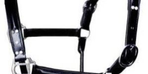 Horse Leather Halter
