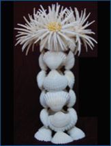 Flower Wase