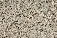 Shag Carpet