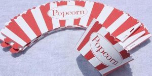 Popcorn Wrapper Printing Service