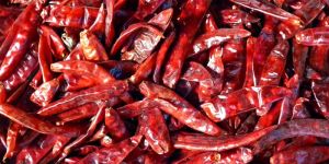 Dried Red Chilli