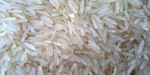 Pusa Basmati Rice