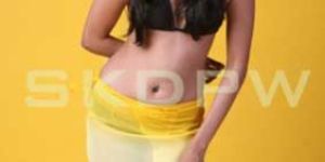 Ladies Pareos -Item Code : SKDPW-LP-024