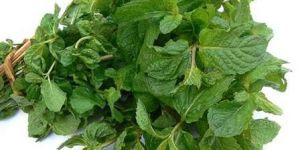 Podina Masala