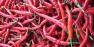 Red Chilli Sauce
