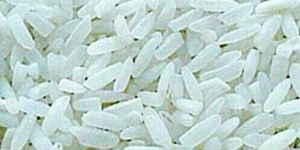 Rice - 02