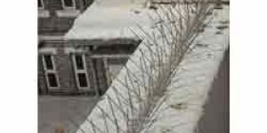 Stainless Steel Spikes