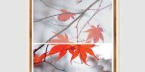 Vertical Retractable Window