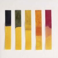 Litmus Paper