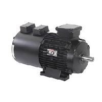 Inverter Duty Motor