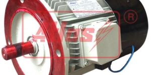 Inverter Duty Motors