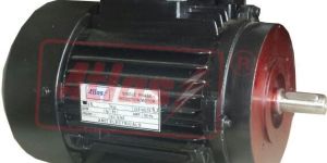 Single Phase AC Induction Motor