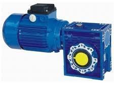 Worm Gear Motor