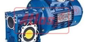 Worm Geared Motor