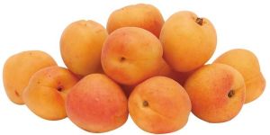 Fresh Apricot