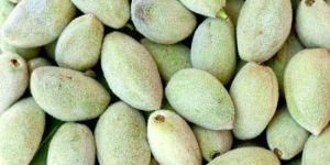 Fresh Green Almonds
