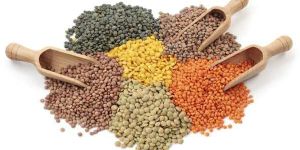 Indian Pulses