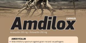 Amdilox Capsules
