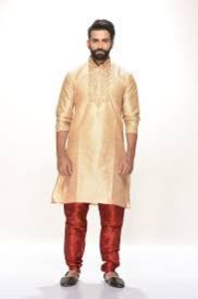 Punjabi Sherwani