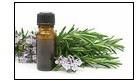 Rosemary Oil