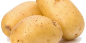 Fresh Potato