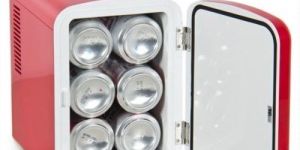 Mini Car Fridge