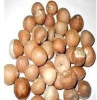 Betel Nuts