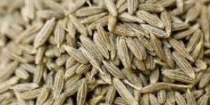 Cumin Seeds