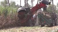Sugarcane Cutting Machine