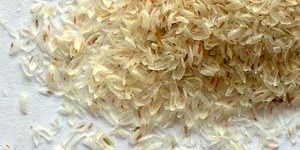 Psyllium