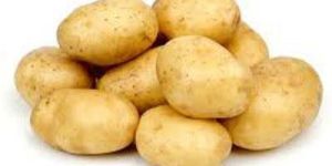 Fresh Potato
