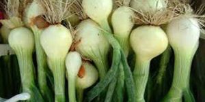 Fresh White Onion