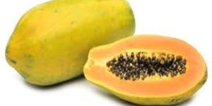 Fresh Papaya