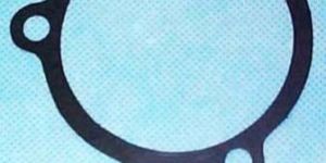 Pump Gaskets